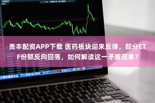 责丰配资APP下载 医药板块迎来反弹，部分ETF份额反向回落，如何解读这一矛盾现象？